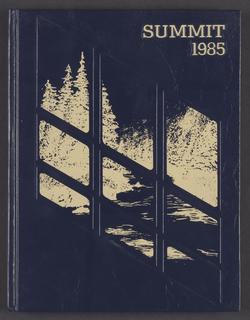 Summit, 1985