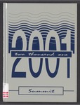 Summit, 2001 by Daemen College